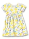 Toddler Girls Floral Printed Flutter Sleeve Dress